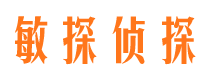 槐荫市私家侦探